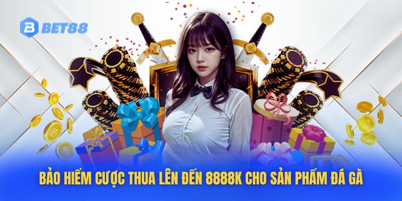 Bảo hiểm cược thua lên đến 8888K cho sản phẩm đá gà